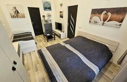 Apartament 1 camera, 40mp, ultracentral, zona strazii Avram Iancu