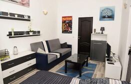 Apartament 1 camera, 40mp, ultracentral, zona strazii Avram Iancu