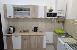 Apartament 1 camera, 50mp, ultracentral, zona strazii Avram Iancu