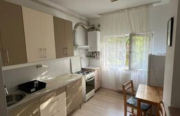 Apartament 1 camera decomandat, 40 mp, mobilat si utilat, zona Pasteur