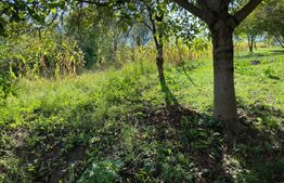 Casa individuala, 5 camere, 180mp utili, teren 2000mp, Vișea (Jucu)