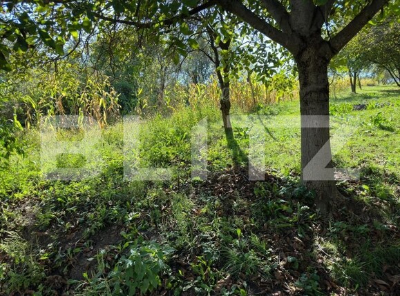 Casa de vânzare 5 camere Jucu de Sus - 151310CV | BLITZ Cluj-Napoca | Poza6