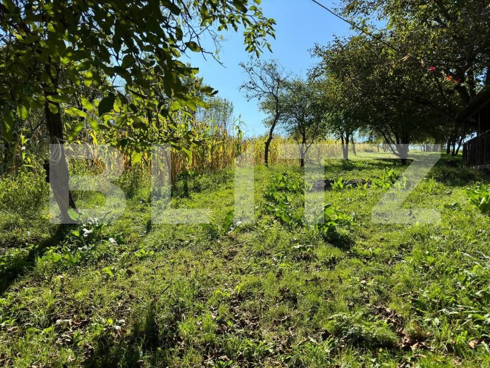 Casa de vânzare 5 camere Jucu de Sus - 151310CV | BLITZ Cluj-Napoca | Poza8