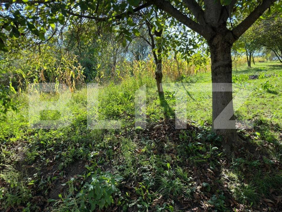 Casa de vânzare 5 camere Jucu de Sus - 151310CV | BLITZ Cluj-Napoca | Poza6