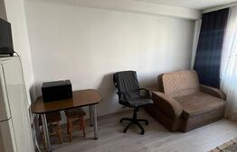 Garsoniera 21 mp, etaj intermediar, zona Expo Transilvania 