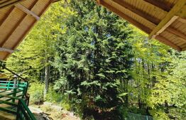 Casa in zona Trei Brazi,Predeal