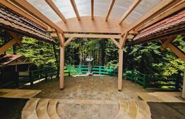 Casa in zona Trei Brazi,Predeal