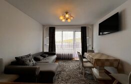 Apartament la cheie, 55 mp util, balcon cu panorama, etaj intermediar, Borhanci 