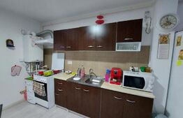 Apartament 2 camere, mobilat, parcare, zona Dumitru Mocanu