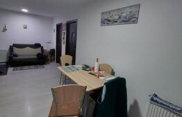 Apartament 2 camere, mobilat, parcare, zona Dumitru Mocanu