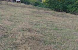  Oportunitate !Teren intravilan 800 mp cu autorizatie construire , Ciurila !