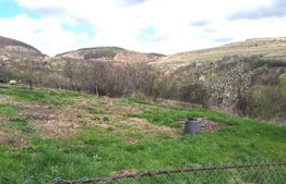  Oportunitate !Teren intravilan 800 mp cu autorizatie construire , Ciurila !