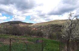  Oportunitate !Teren intravilan 800 mp cu autorizatie construire , Ciurila !