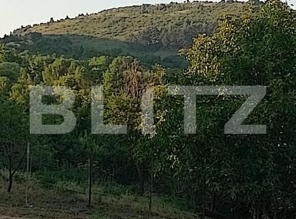 Teren de vânzare Ciurila - 151399TV | BLITZ Cluj-Napoca | Poza4
