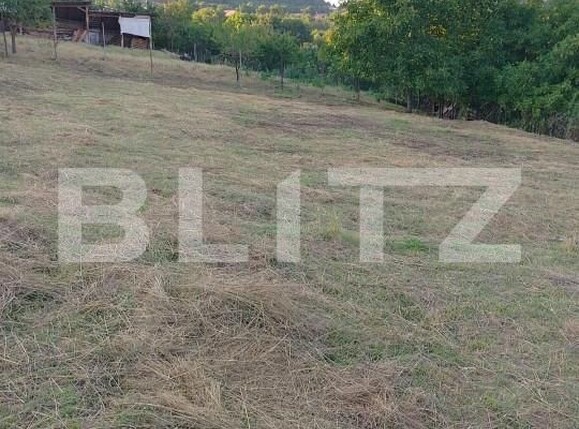 Teren de vânzare Ciurila - 151399TV | BLITZ Cluj-Napoca | Poza2
