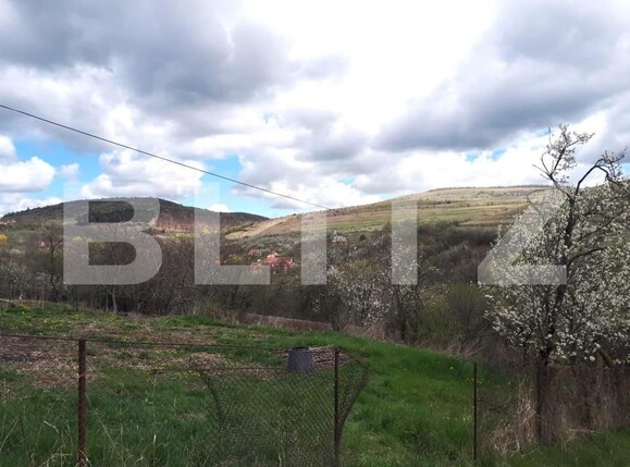 Teren de vânzare Ciurila - 151399TV | BLITZ Cluj-Napoca | Poza2