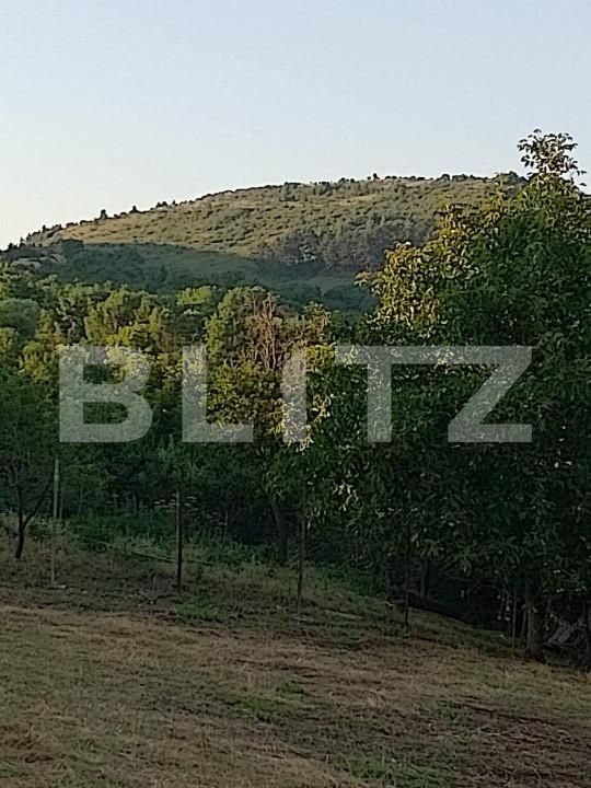 Teren de vânzare Ciurila - 151399TV | BLITZ Cluj-Napoca | Poza4