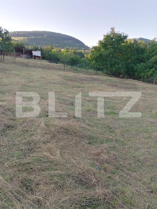 Teren de vânzare Ciurila - 151399TV | BLITZ Cluj-Napoca | Poza2