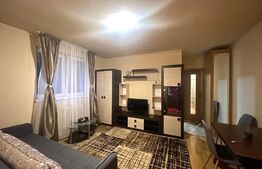 Apartament 2 camere, 40 mp, pet friendly, zona Constantin Brancusi 