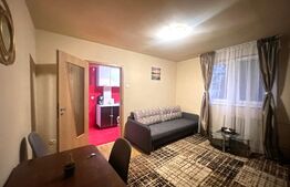 Apartament 2 camere, 40 mp, pet friendly, zona Constantin Brancusi 