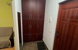 Apartament cu o camera, 28 mp, mobilat si utilat, zona Oasului 