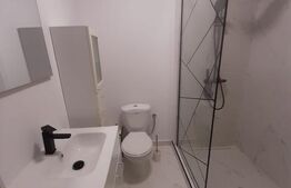 Apartament cu o camera, 28 mp, mobilat si utilat, zona Oasului 