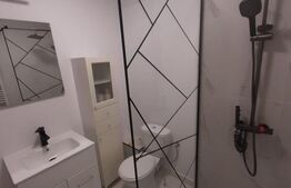 Apartament cu o camera, 28 mp, mobilat si utilat, zona Oasului 