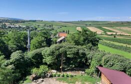 Oportunitate de investitie! Pensiune la cheie, 300 mp utili, 700 mp teren