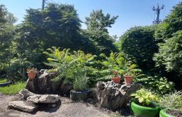 Oportunitate de investitie! Pensiune la cheie, 300 mp utili, 700 mp teren