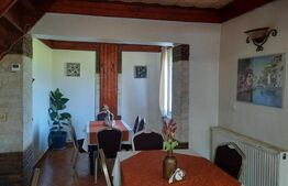 Oportunitate de investitie! Pensiune la cheie, 300 mp utili, 700 mp teren