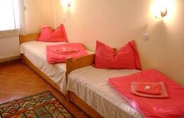 Oportunitate de investitie! Pensiune la cheie, 300 mp utili, 700 mp teren