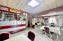 Oportunitate de investitie! Pensiune la cheie, 300 mp utili, 700 mp teren