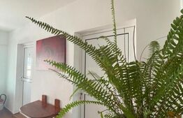 Oportunitate de investitie! Pensiune la cheie, 300 mp utili, 700 mp teren