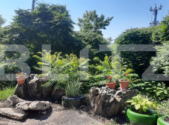 Casa de vânzare 11 camere Tureni - 151546CV | BLITZ Cluj-Napoca | Poza4