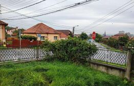 Casa 134 mp, 700 mp teren, Dambul Rotund