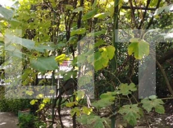 Casa de vânzare 4 camere Dambul Rotund - 151547CV | BLITZ Cluj-Napoca | Poza3