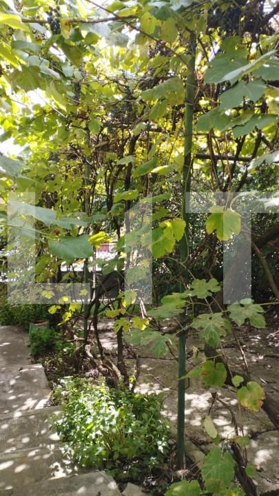 Casa de vânzare 4 camere Dambul Rotund - 151547CV | BLITZ Cluj-Napoca | Poza3