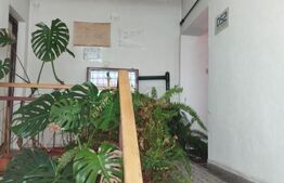 Oportunitate! Cladire 540 mp utili, Dambul Rotund, pensiune, azil sau productie!