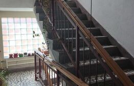 Oportunitate! Cladire 540 mp utili, Dambul Rotund, pensiune, azil sau productie!