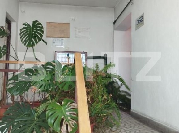 Casa de vânzare 14 camere Dambul Rotund - 151550CV | BLITZ Cluj-Napoca | Poza9