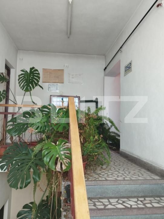 Casa de vânzare 14 camere Dambul Rotund - 151550CV | BLITZ Cluj-Napoca | Poza9