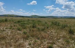 Oportunitate! Teren 12000 mp, zona centura Apahida-Cluj