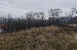 Teren 2950 mp, pentru constructie case, Feleacu, priveliste deosebita!