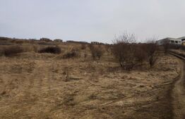 De vanzare teren intravilan de 6632 mp, Dezmir