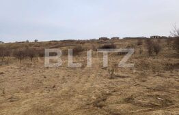 De vanzare teren intravilan de 6632 mp, Dezmir