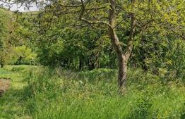 Casă renovabilă de 127 mp, cu 2100 mp teren, localizată central în Luna de Sus