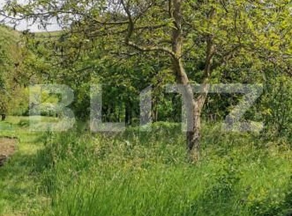 Casa de vânzare 5 camere Luna de Sus - 151666CV | BLITZ Cluj-Napoca | Poza3