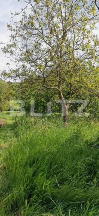 Casa de vânzare 5 camere Luna de Sus - 151666CV | BLITZ Cluj-Napoca | Poza3