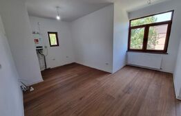 Apartament cu 3 camere, 75 mp + 115mp teren, Grigorescu