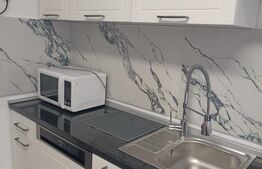 Apartament 1 camera, pregatit pentru regim hotelier, zona strazii Paris 